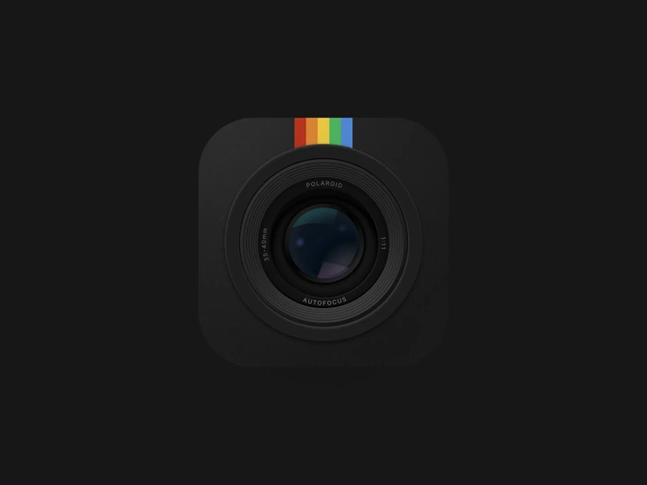 Polaroid Cam